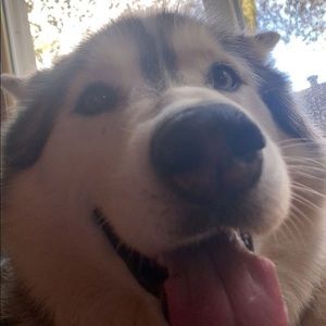 Meet your Posher, Seth